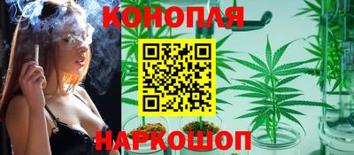 наркотики Будённовск
