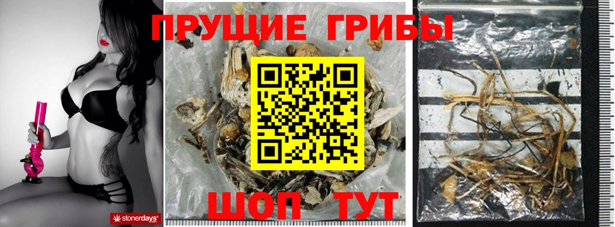 Псилоцибиновые грибы ЛСД Сосновый Бор